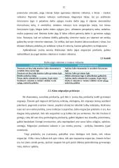 Lietuvos gyventojų migracijos dinamika 12 puslapis