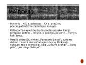 Patriotiškumas literatūroje 5 puslapis