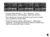 Patriotiškumas literatūroje 6 puslapis