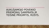 Baudžiamojo poveikio priemonių rūšys, jų samprata, nubaudimo elementai 9 puslapis