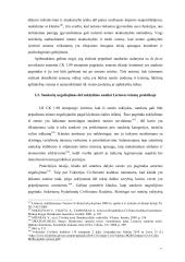 Sandorių negaliojimas dėl valios trukumų 20 puslapis