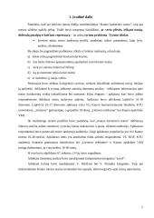 Marketingo tyrimas: Kauno kamerinis teatras 2 puslapis