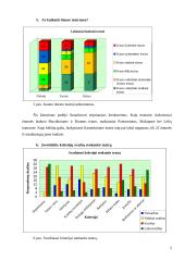 Marketingo tyrimas: Kauno kamerinis teatras 5 puslapis