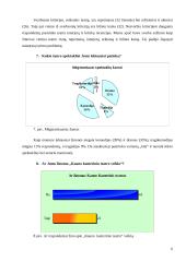 Marketingo tyrimas: Kauno kamerinis teatras 6 puslapis