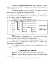 Marketingo tyrimas: rūkymo paplitimas 4 puslapis