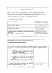 Marketingo tyrimas: šampūnas "Head & Shoulders" 11 puslapis