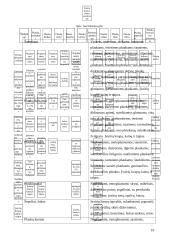 Marketingo tyrimas: šampūnas "Head & Shoulders" 19 puslapis