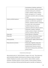 Marketingo tyrimas: šampūnas "Head & Shoulders" 20 puslapis