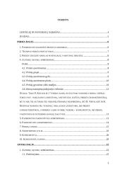 Marketingo tyrimas: šampūnas "Head & Shoulders" 3 puslapis