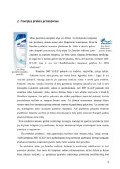 Marketingo tyrimas: šampūnas "Head & Shoulders" 8 puslapis
