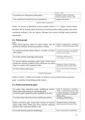 Marketingo tyrimas: šampūnas "Head & Shoulders" 10 puslapis