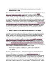Literatūros kontekstų konspektas 2 puslapis