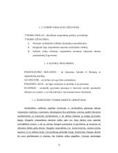 Metodologinis tyrimas: Požiūris į savižudybę 12 puslapis