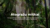 Pristatymas. Atogrąžų miškai