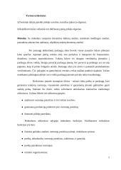 Mobiliojo ryšio rinkos tyrimas 2 puslapis