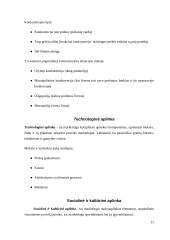 Mobiliojo ryšio rinkos tyrimas 11 puslapis