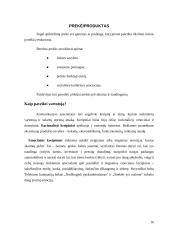 Mobiliojo ryšio rinkos tyrimas 16 puslapis