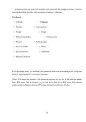 Mobiliojo ryšio rinkos tyrimas 20 puslapis