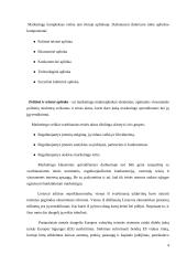 Mobiliojo ryšio rinkos tyrimas 4 puslapis