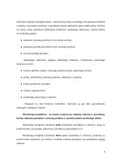 Mobiliojo ryšio rinkos tyrimas 8 puslapis