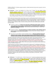 Civilinės teisės bendrosios dalies konspektas 9 puslapis