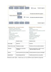 Kokybinių tyrimų konspektas 2 puslapis