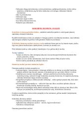 Kokybinių tyrimų konspektas 11 puslapis