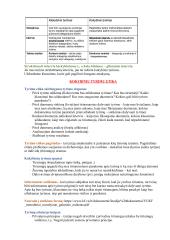 Kokybinių tyrimų konspektas 3 puslapis