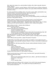 Kokybinių tyrimų konspektas 6 puslapis