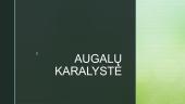 Augalų karalystė (pristatymas)
