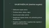 Augalų karalystė (pristatymas) 12 puslapis