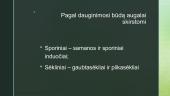 Augalų karalystė (pristatymas) 4 puslapis