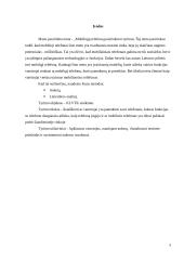 Mobiliųjų telefonų pasirinkimo tyrimas 2 puslapis