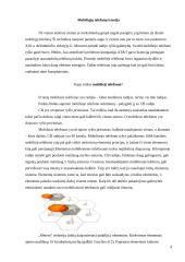 Mobiliųjų telefonų pasirinkimo tyrimas 3 puslapis