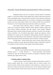 Mokyklos darbo režimo įvertinimas 2 puslapis