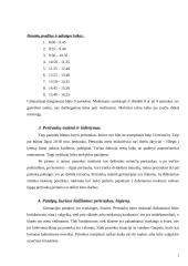 Mokyklos darbo režimo įvertinimas 3 puslapis