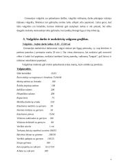 Mokyklos darbo režimo įvertinimas 4 puslapis