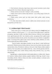 Mokyklos darbo režimo įvertinimas 9 puslapis