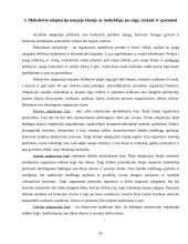 Mokinio adaptacija naujoje klasėje 12 puslapis