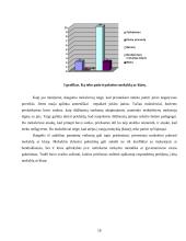 Mokinio adaptacija naujoje klasėje 16 puslapis