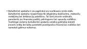 Buhalterinės apskaitos pagrindai. Skaidrės 10 puslapis