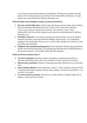 Vilniaus miesto gyventojų judrumo skatinimas 2 puslapis