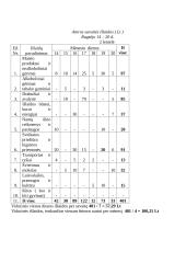 Šeimos ūkio išlaidų tyrimas 3 puslapis