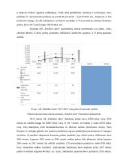 Įmonės AB „Rokiškio sūris“ veiklos analizė 19 puslapis