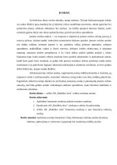 Įmonės AB „Rokiškio sūris“ veiklos analizė 2 puslapis