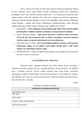 Įmonės AB „Rokiškio sūris“ veiklos analizė 6 puslapis