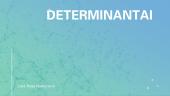 Determinantai. Skaidrės