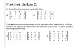 Determinantai. Skaidrės 10 puslapis