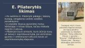 Emilija Pliaterytė ir Zarasų kraštas 1830–1831 m. sukilime 6 puslapis