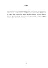 Lyderio emocijų poveikis verslo sprendimams 16 puslapis